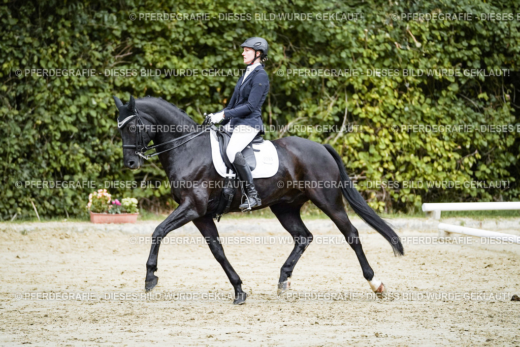 DSC00049 | Pferdegrafie