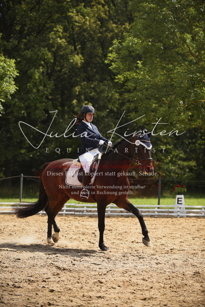 DSC_0975 | Pferde- und Turnierfotografie in Westsachsen. Pferdeportraits, Auftragszeichnungen und intuitive Kunst.