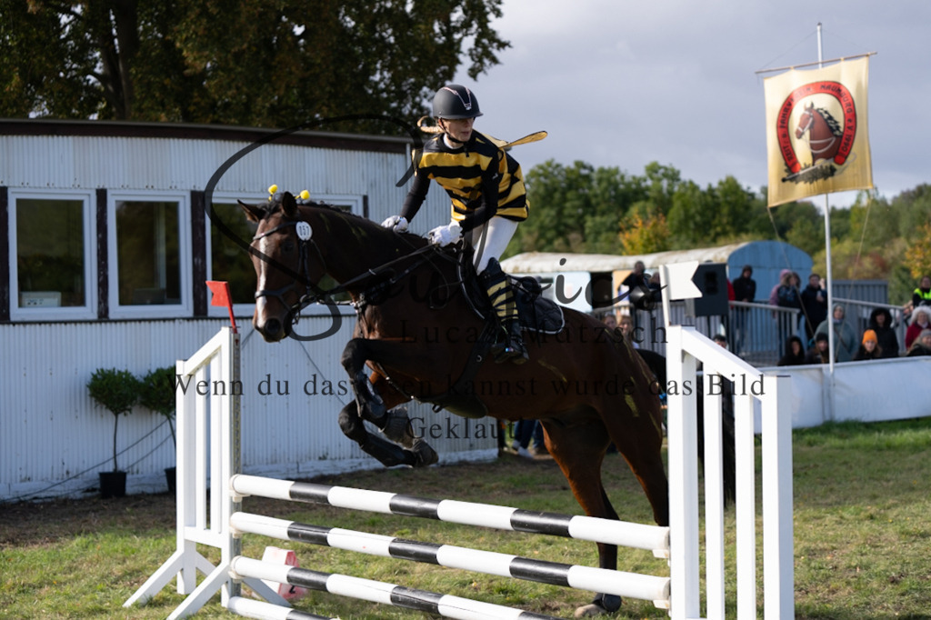 A7V06545 | Pferdefotograf