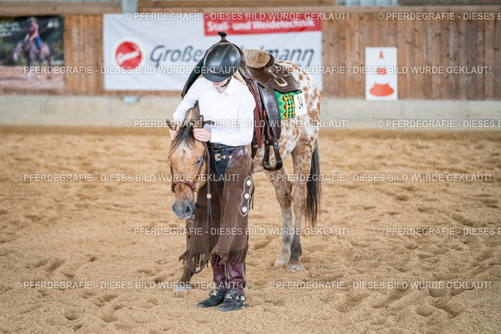 DSC01387 | Pferdegrafie