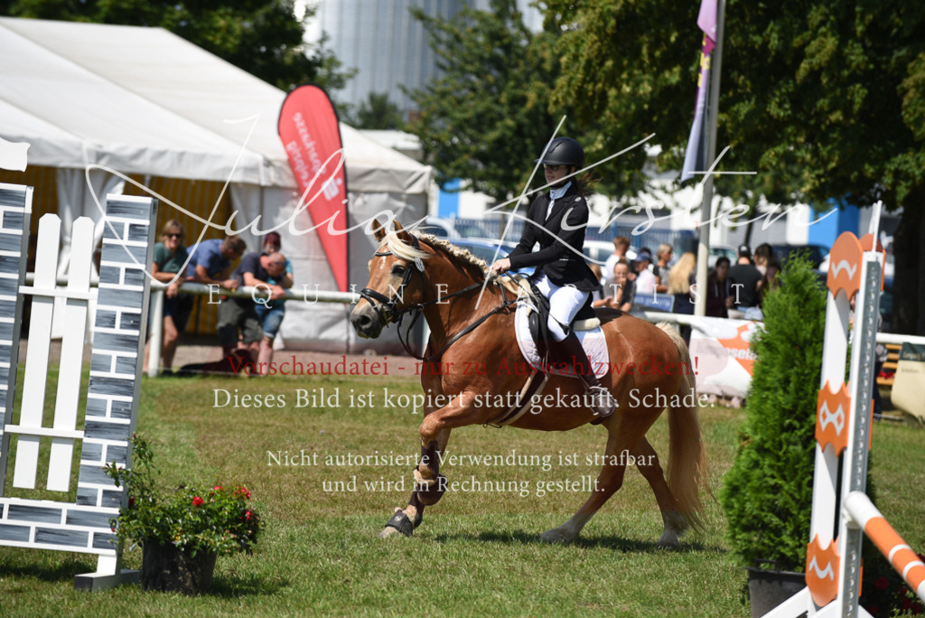 DSC_9949 | Pferde- und Turnierfotografie in Westsachsen. Pferdeportraits, Auftragszeichnungen und intuitive Kunst.