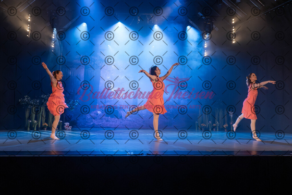 Ballettaufführung-920 | Bildershop Lem'n Entertainment - Realisiert mit Pictrs.com