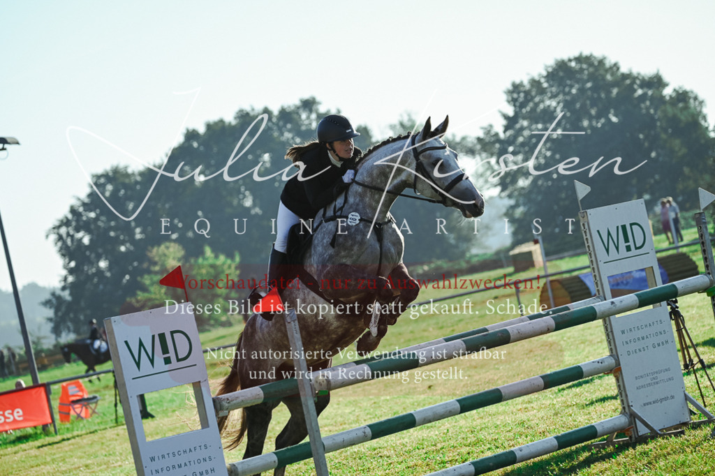 DSC_4163 | Pferde- und Turnierfotografie in Westsachsen. Pferdeportraits, Auftragszeichnungen und intuitive Kunst.