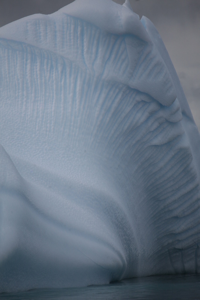 IMG_0390 | Antarktis / Antarctica - Realisiert mit Pictrs.com