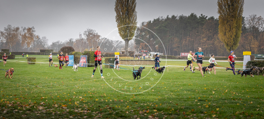 CaniXpix_DV3A8854 | Hundefotografie, Tierfotograf, Pfotenfotografie, Fotoshooting Hund, Hunde Portrait, Hundesport, Hundeportraits, Heideshooting, Hunde, Sportfotograf, Hundefotograf, Turnierhundsport, THS,  - Realisiert mit Pictrs.com