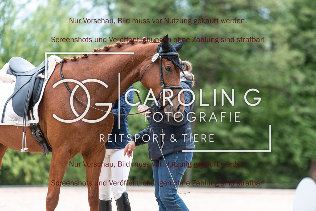 DSC_6916 | Turnierfotografin Carolin Gieschke,Reitsport Turnierfotografie Carolin G Fotografie | Turnierfotos aus Kirchheim/Teck, Esslingen, Stuttgart und dem Bodenseekreis
