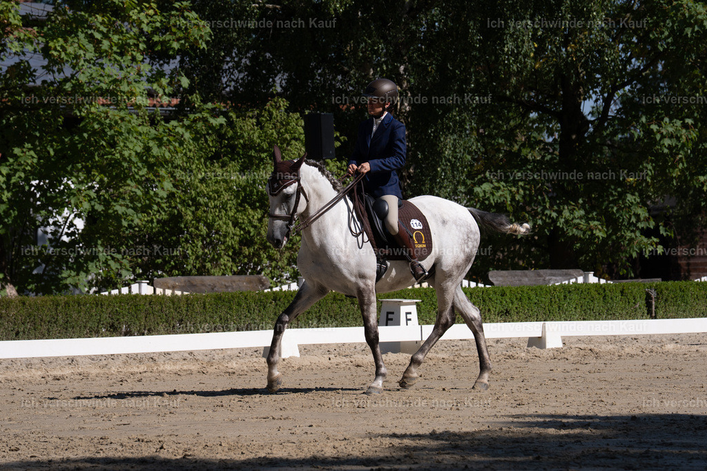 WL_DR_114_sinafilmart_IN06664 | working equitationturnier fotograf videograf stoibphotography marixx film working equitation deutschland reitsport turnierfotografie eventfotografie equestrian events
