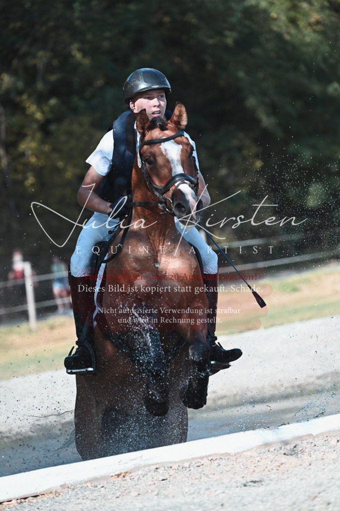 DSC_8820 | Pferde- und Turnierfotografie in Westsachsen. Pferdeportraits, Auftragszeichnungen und intuitive Kunst.