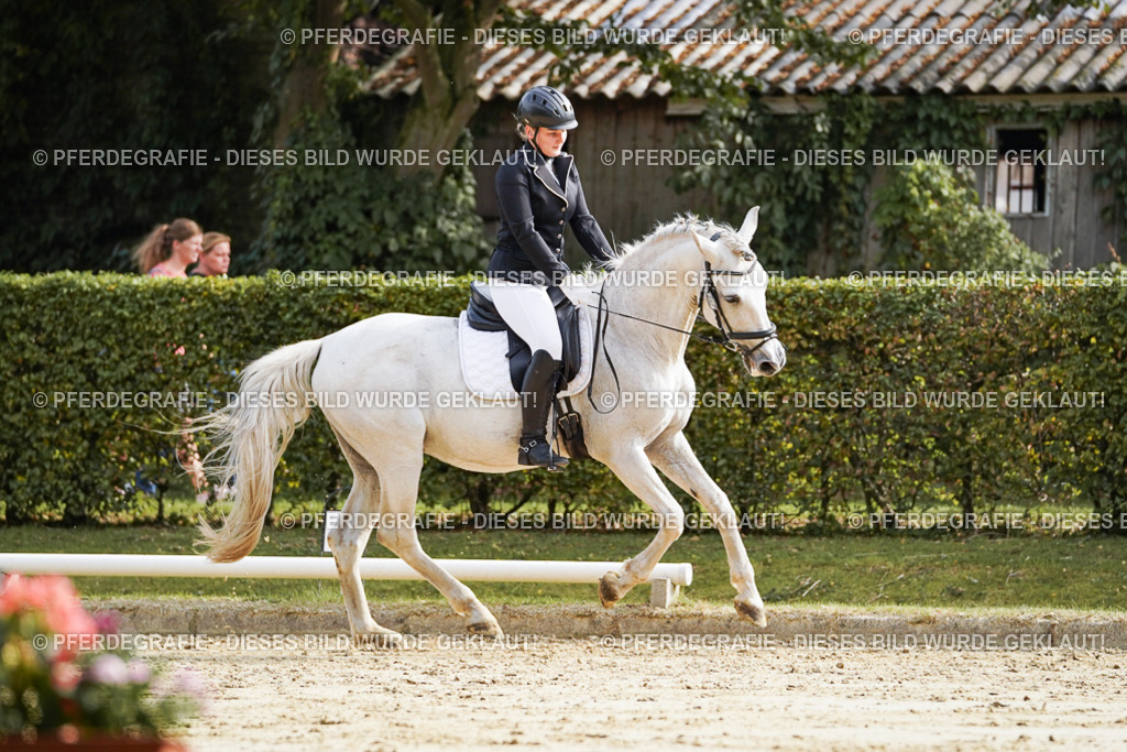 DSC04372 | Pferdegrafie