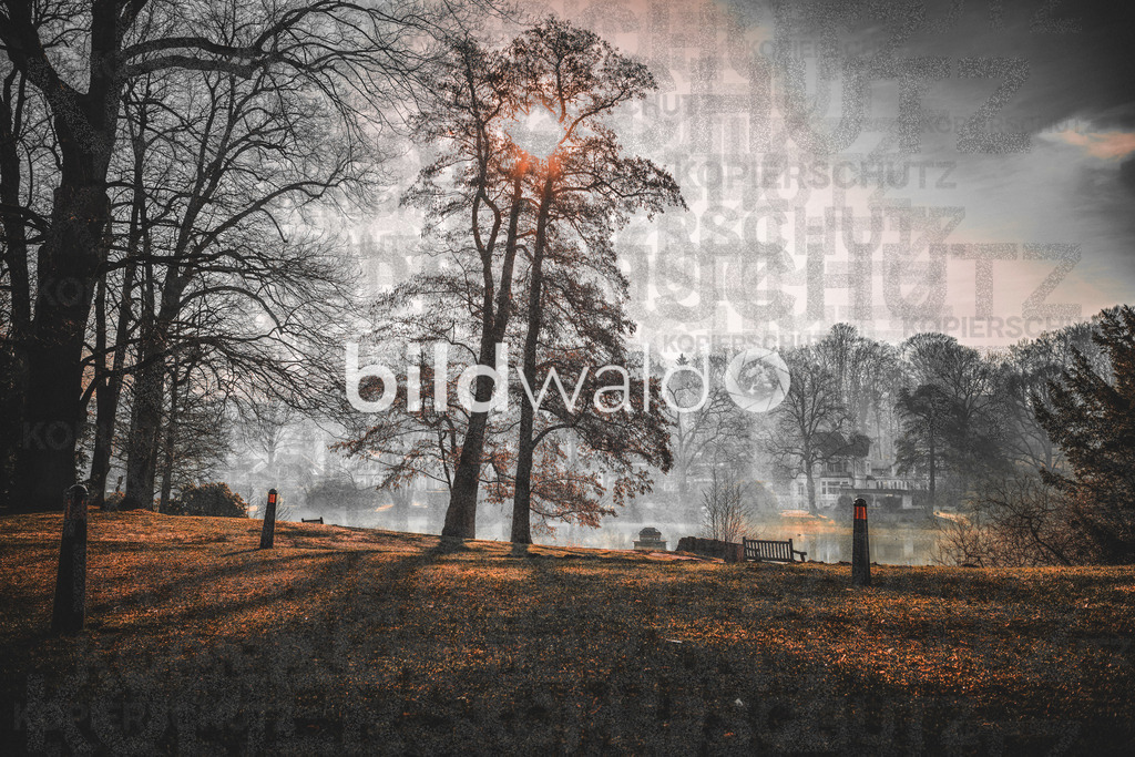 _BWT9146 | BILDWALD - eine Auswahl an Bildern von Thomas Perrotton zum bestellen und genießen. Alle Bilder von Thomas Perrotton - Alle Bilder mit einer SONY Kamera gemacht - SONY TAMRON SIGMA PHOTOSHOP LIGHTROOM BILDWALD Online kaufen Bilderwald Wandbilder - Realisiert mit Pictrs.com