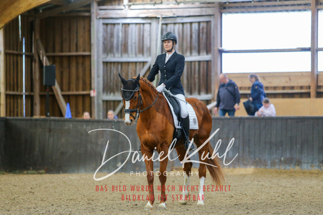 IMG_0264 | Turniersportfotografie; Pferdefotografie; Dressurfotografie