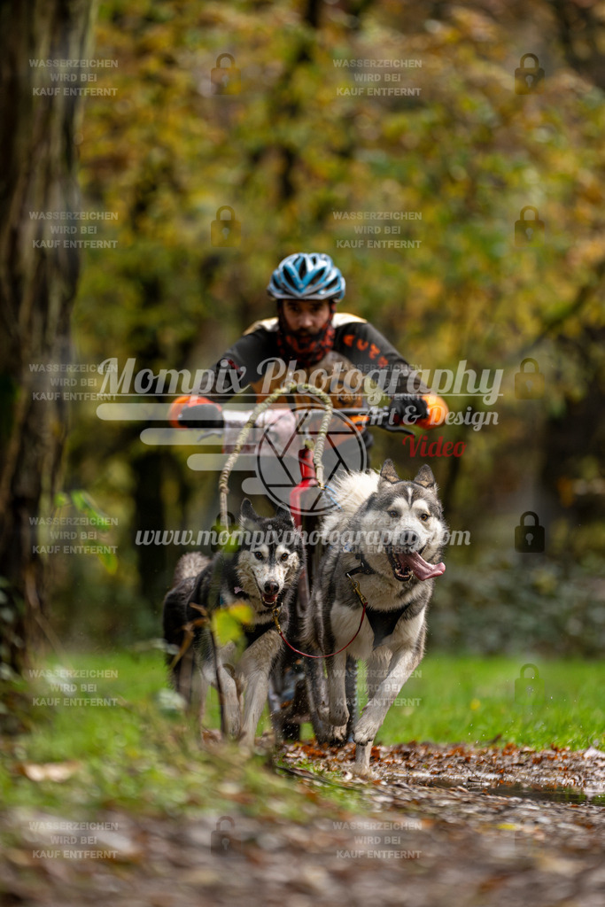 MompixPhotography_Bischwiller23_DS2-9 | mompixphotography