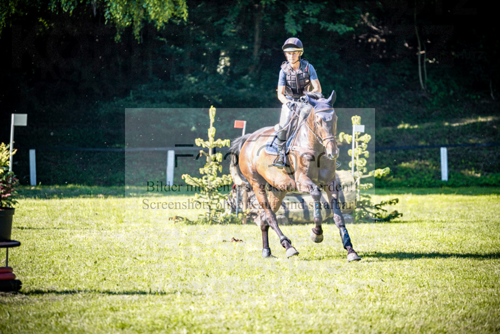 2026-05 - Melle Oldendorf-3-0033 | Entdecke hochwertige Reitturnierfotos von Foto Oger. Professionell, emotional und authentisch – jetzt Lieblingsmomente im Shop bestellen.Deutschlandweite Turnierfotografie. - Realisiert mit Pictrs.com