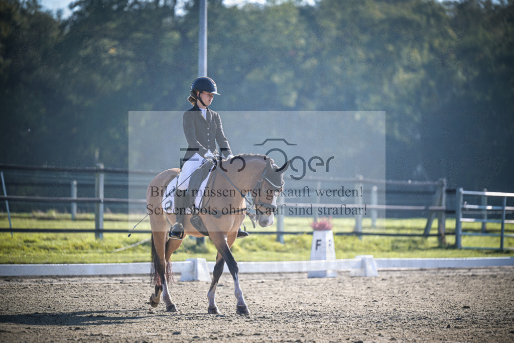 DOS_1242 | Entdecke hochwertige Reitturnierfotos von Foto Oger. Professionell, emotional und authentisch – jetzt Lieblingsmomente im Shop bestellen.Deutschlandweite Turnierfotografie. - Realisiert mit Pictrs.com