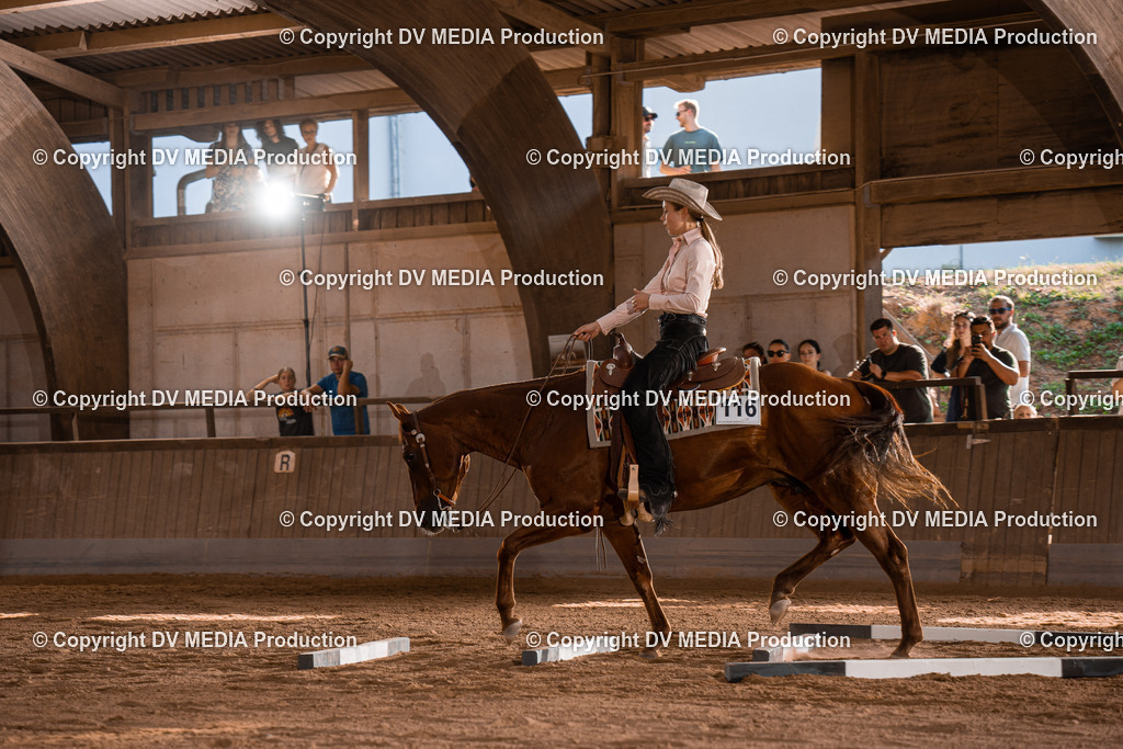 NE101194 | dv-media-shop - Realisiert mit Pictrs.com