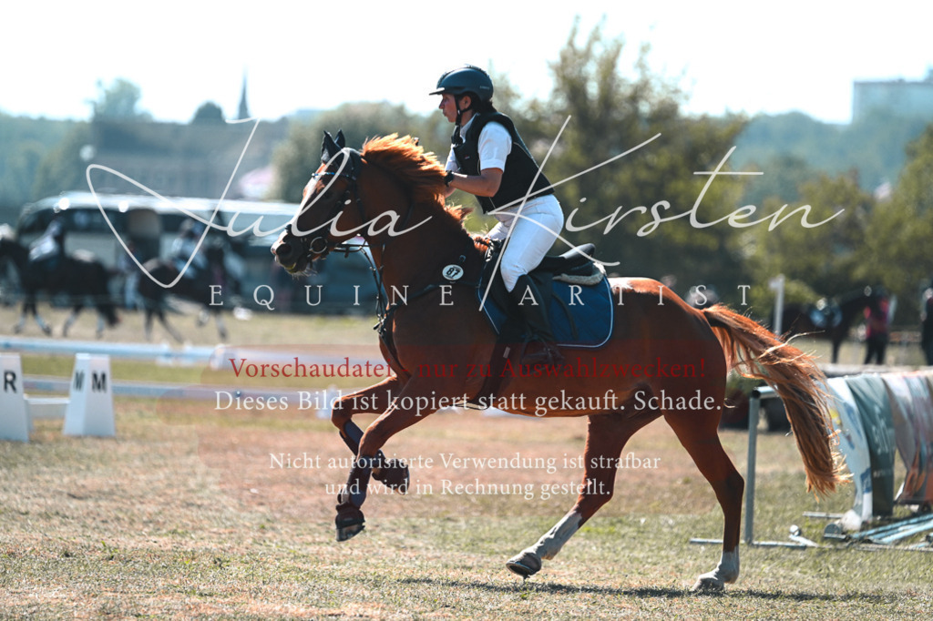 DSC_8319 | Pferde- und Turnierfotografie in Westsachsen. Pferdeportraits, Auftragszeichnungen und intuitive Kunst.