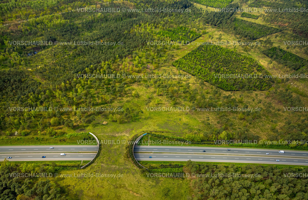 Schermbeck240402094UefterMark | Luftbild, Waldgebiet Üfter Mark, Autobahn A31 mit Grünbrücke bzw. Wildbrücke für gefahrlose Überquerung von Wildtieren, Wildwechsel, Altschermbeck, Schermbeck, Münsterland, Nordrhein-Westfalen, Deutschland