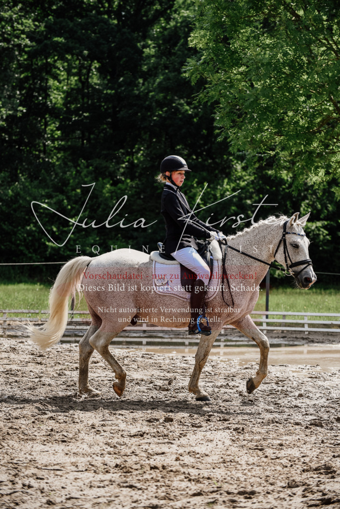 DSC_0508 | Pferde- und Turnierfotografie in Westsachsen. Pferdeportraits, Auftragszeichnungen und intuitive Kunst.