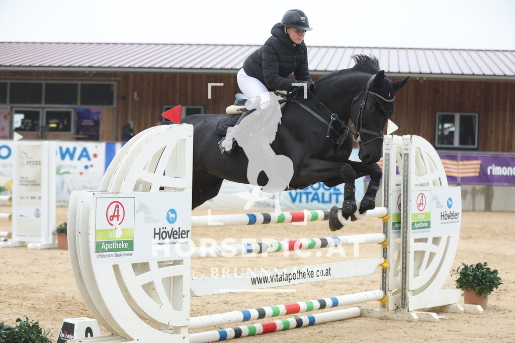 0P6A1237 | Willkommen bei Brunnmayr - Design & Fotografie – Ihrem Spezialisten für Reitturniere und Pferdeveranstaltungen in Oberösterreich, Salzburg und Bayern! Seit über 17 Jahren sind wir leidenschaftlich dabei.