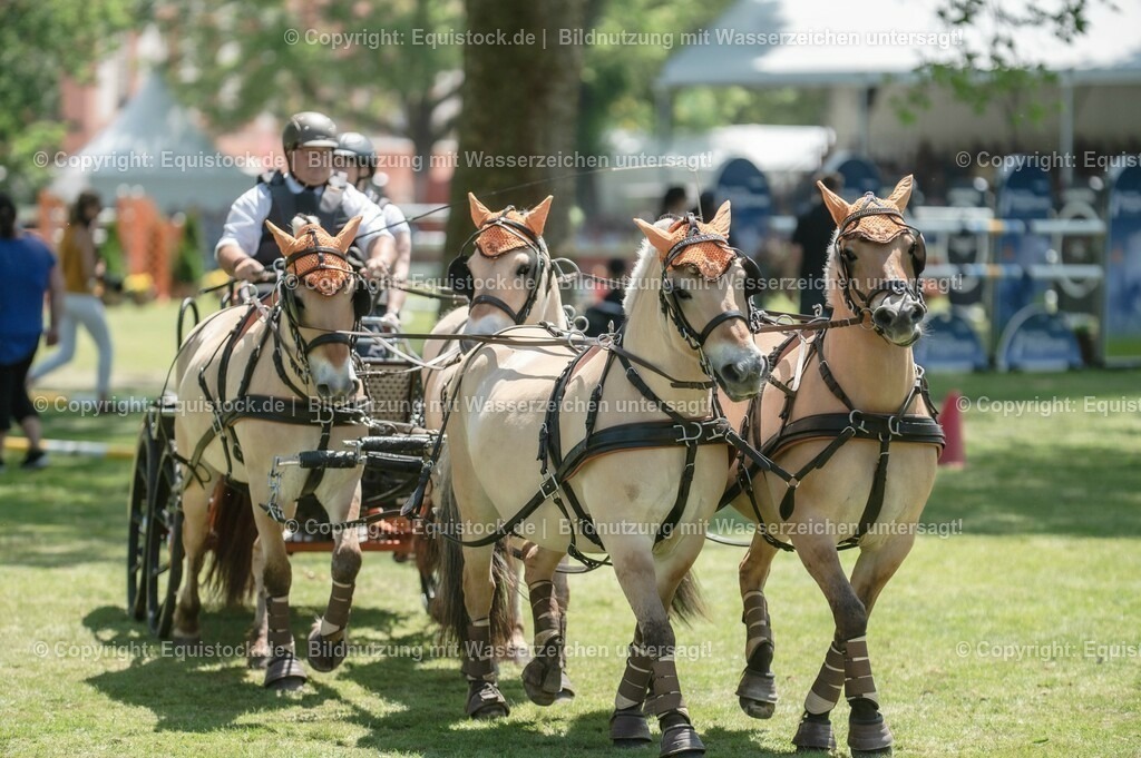 20230528_Jump-and-Drive_0019 | equistock