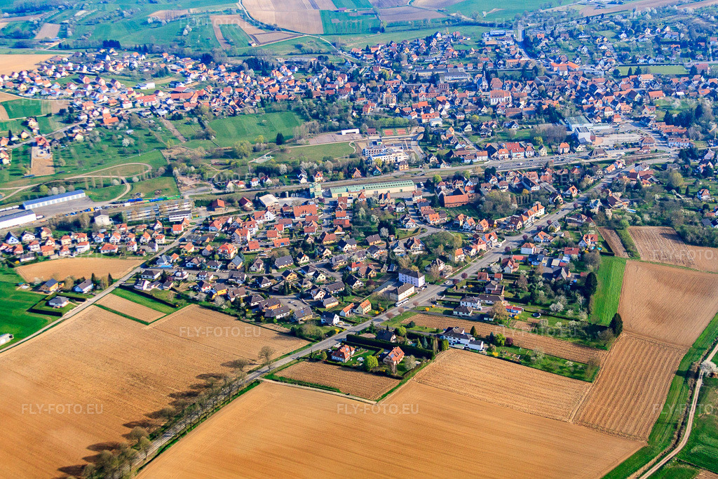 Vue aérienne: Rue de Strasbourg à Soultz-sous-Forêts dans le département Bas Rhin, France – .Photo: IMG_63800.jpg prise le 30/03/2014 par Werner Riehm/FLY-FOTO.eu – Résolution de l'original: 4550 x 3034 px