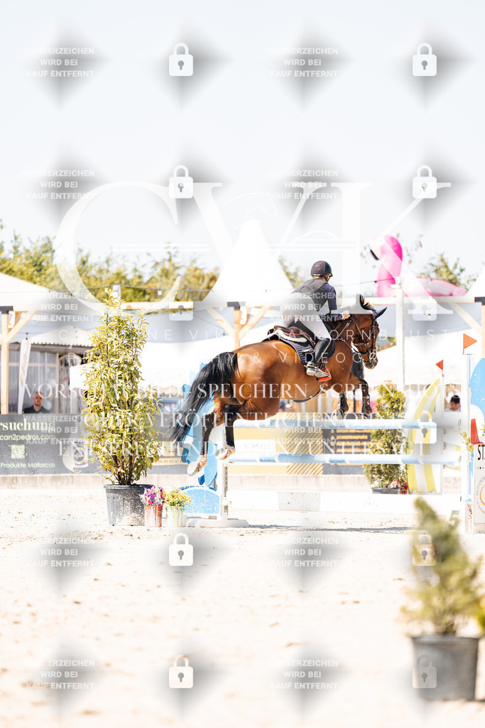 CK900113 | Turnierfotografie Pferdefotografie Trier Rheinland-Pfalz Pferdesport Reitsport Tierfotografie Sportfotografie Pferdevideo Pferdevideografie Equestrianvideography equestrianphotography  - Realisiert mit Pictrs.com