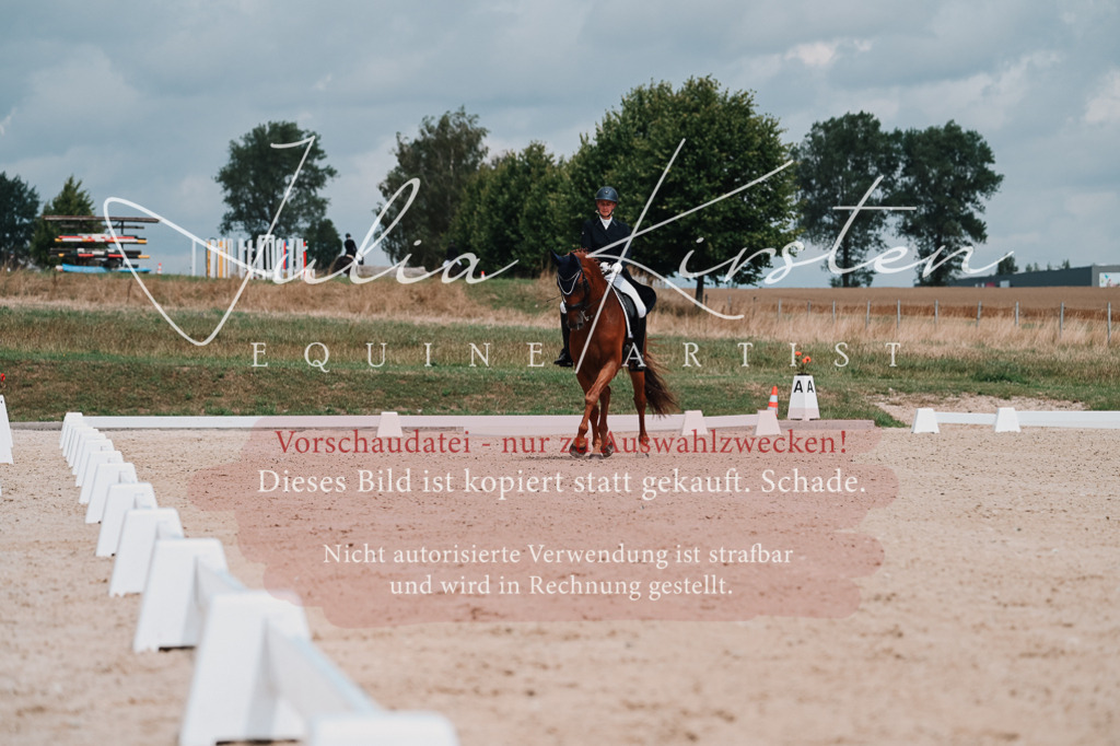 DSC_4217 | Pferde- und Turnierfotografie in Westsachsen. Pferdeportraits, Auftragszeichnungen und intuitive Kunst.