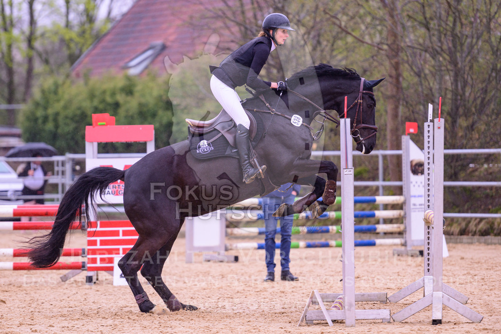 12042026-Mammendorf-Prfg38-0380 | Fokus Hufschlag Fotografie - Realisiert mit Pictrs.com