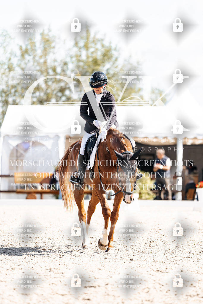 CK902892 | Turnierfotografie Pferdefotografie Trier Rheinland-Pfalz Pferdesport Reitsport Tierfotografie Sportfotografie Pferdevideo Pferdevideografie Equestrianvideography equestrianphotography  - Realisiert mit Pictrs.com