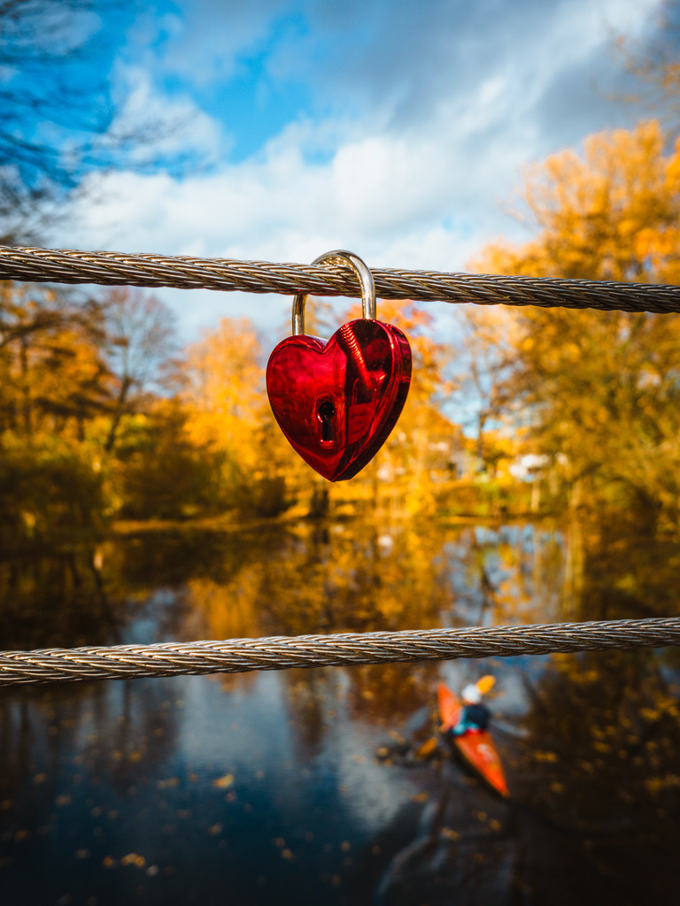 Bürgerpark | Entdecke exklusive Fotokunst aus Braunschweig: Bildband, Leinwände, Postkarten, Kalender, digitale Downloads & Bildlizenzen. Jetzt im offiziellen Beautiful Braunschweig Shop! - Realisiert mit Pictrs.com