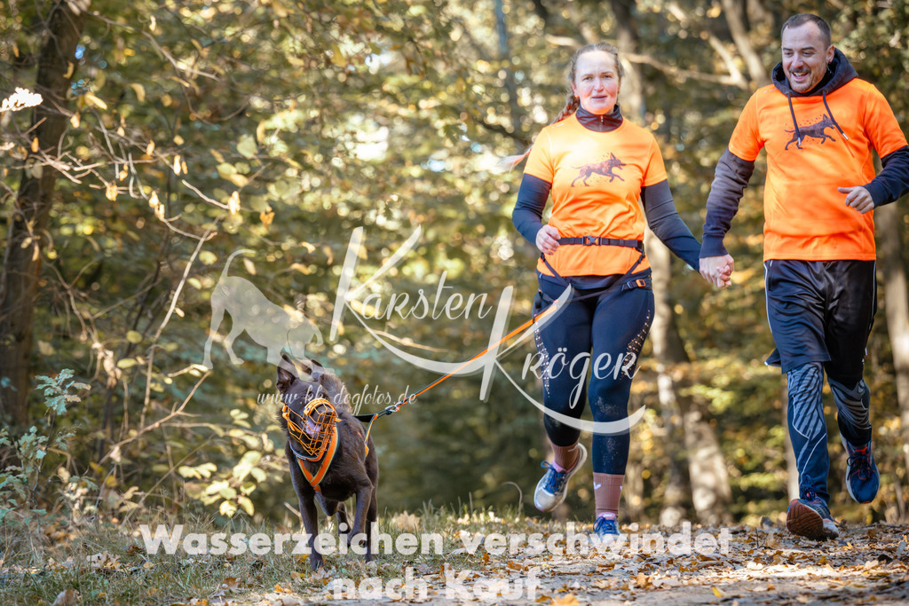 1120_ZZ92016 | kk-dogfotos