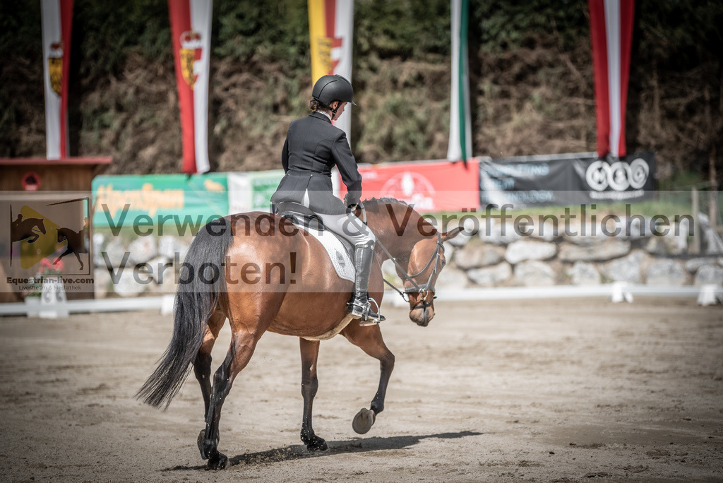 DSC_2430 | equestrian-live-com