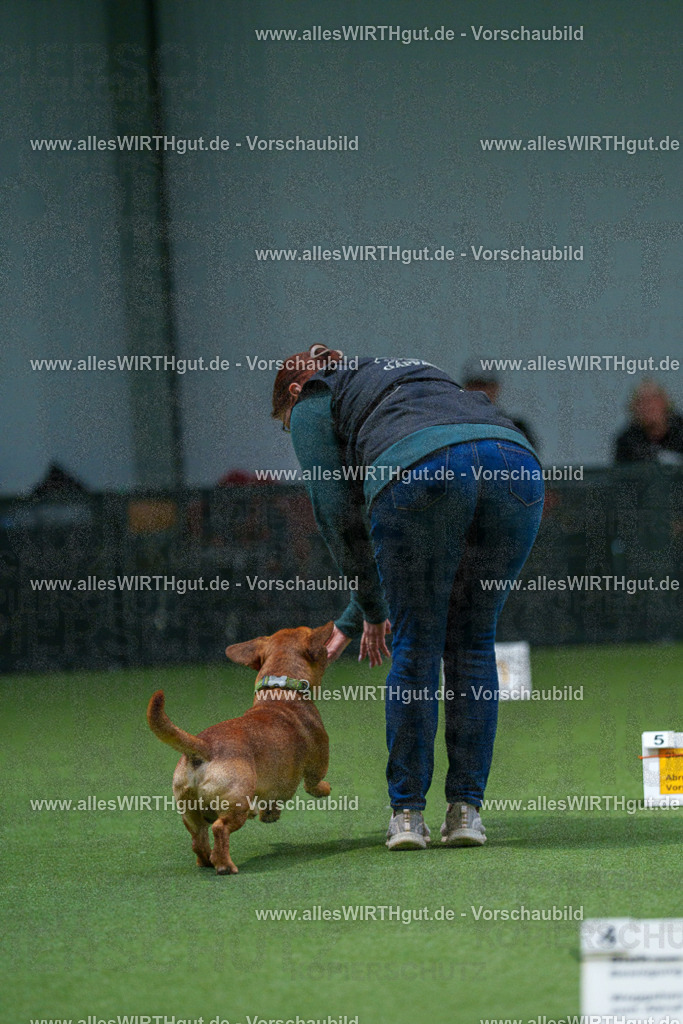 7R507155 | Professionelle Tierfotografie in Mönchengladbach von Daniel Wirth (allesWIRTHgut). Liebevolle & natürliche Bilder von Hunden & Katzen für unvergessliche Erinnerungen.
