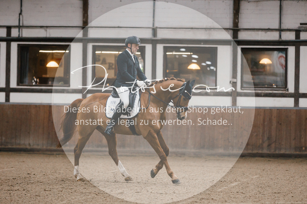 3I6A5874 | Stimmungsvolle Portraits und Reitsportfotografie im Ruhrgebiet und im Münsterland.

Pferdefotografie, Hundefotografie, Tierfotografie, Reportagen, Portraits von Tier und Mensch, Turnierfotografie in Bochum, Recklinghausen, Marl, Haltern am See, Dülmen.. - Realisiert mit Pictrs.com