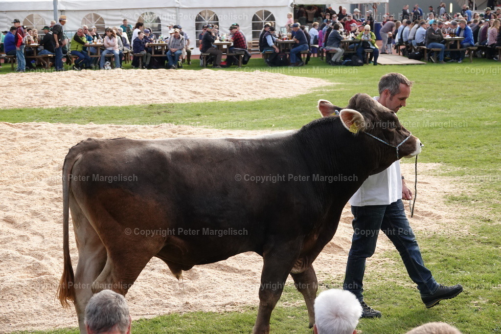 DSC08461 | Schwingen - Realisiert mit Pictrs.com