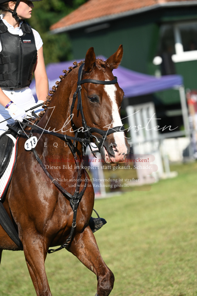 DSC_4694 | Pferde- und Turnierfotografie in Westsachsen. Pferdeportraits, Auftragszeichnungen und intuitive Kunst.