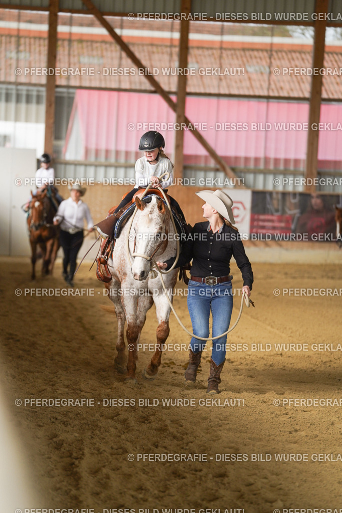 DSC00662 | Pferdegrafie