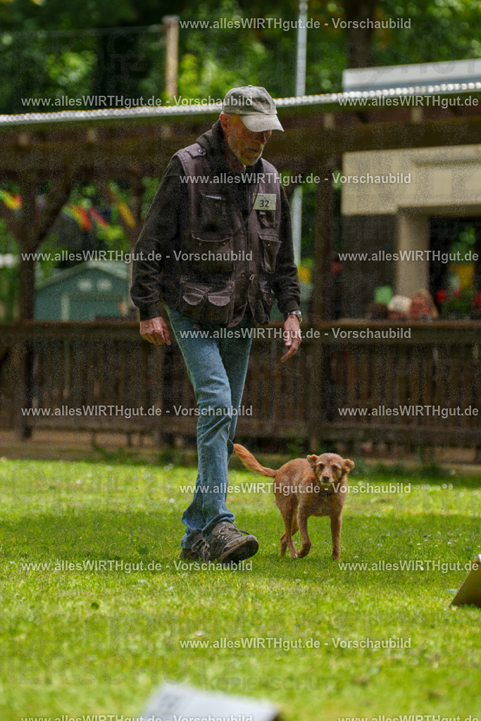 @allesWIRTHgut_Tierfotografie - www.allesWIRTHgut.de - 121720-7R508803 | Professionelle Tierfotografie in Mönchengladbach von Daniel Wirth (allesWIRTHgut). Liebevolle & natürliche Bilder von Hunden & Katzen für unvergessliche Erinnerungen.