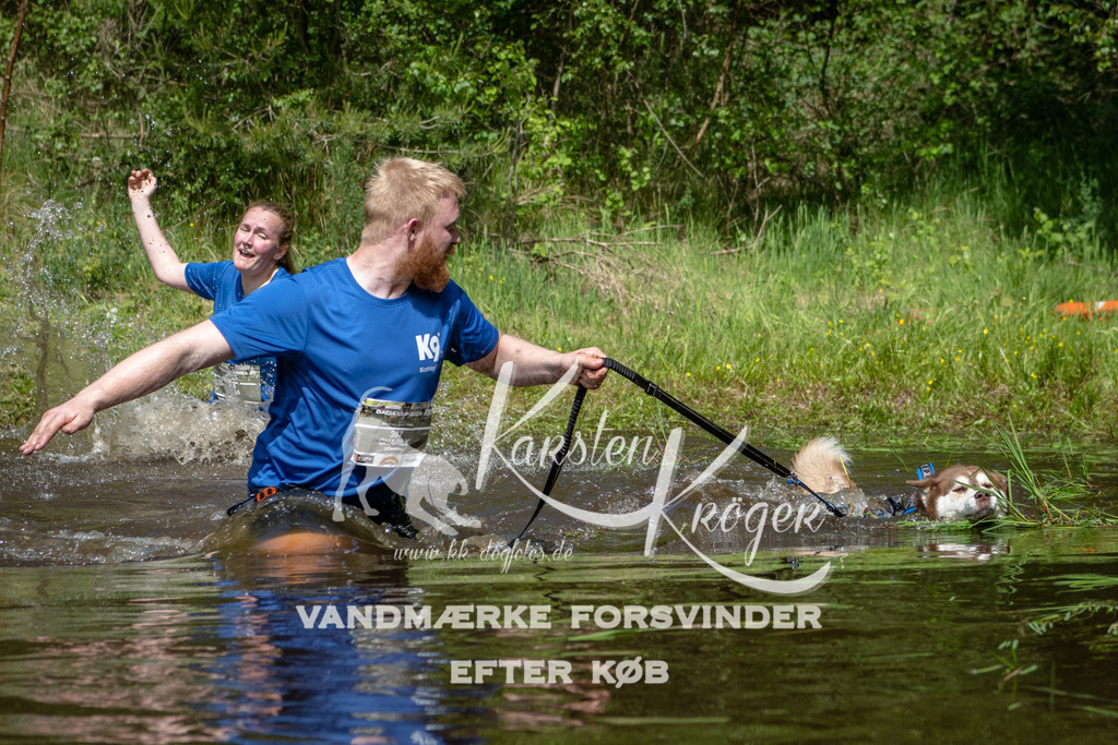 1148DKK991157 | kk-dogfotos