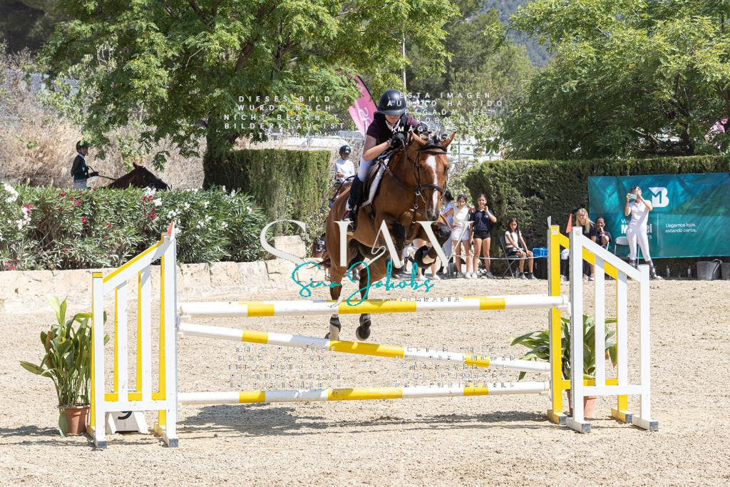 IMG_3516 | s-jay-photography - Realisiert mit Pictrs.com