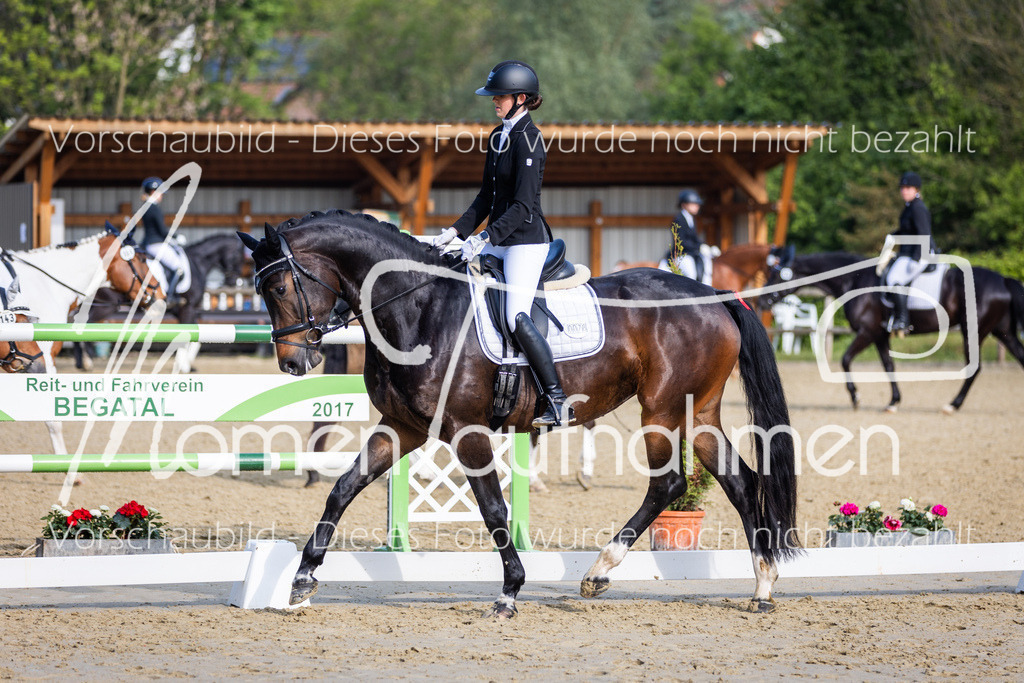 Donop24-A-Dre-057 | MomenTaufnahmen Pferdesportfotos