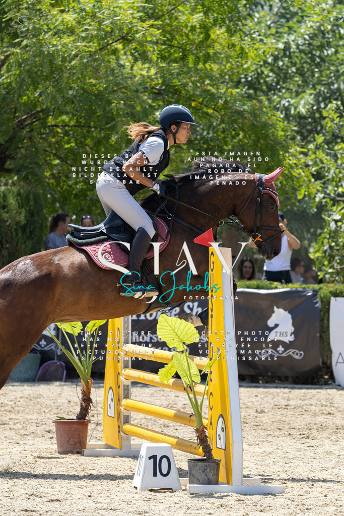 IMG_0856 | s-jay-photography - Realisiert mit Pictrs.com