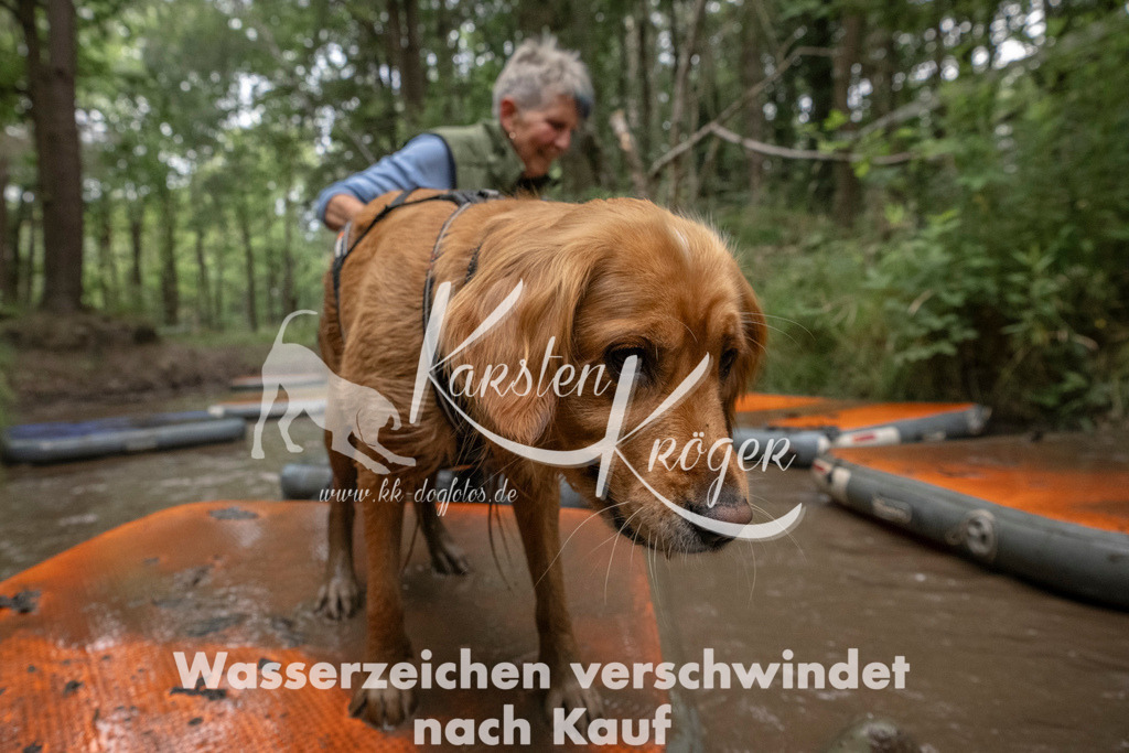 0928_ZZ92614 | kk-dogfotos