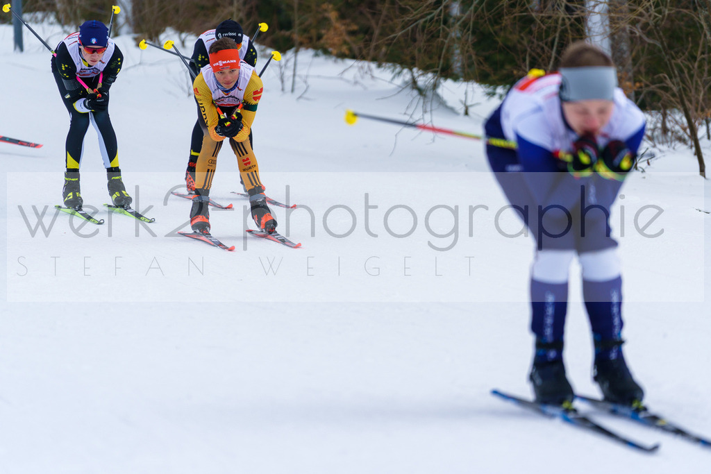 DSC Arber | Bayerischer Wald am 9. bis 12. Februar 2023
