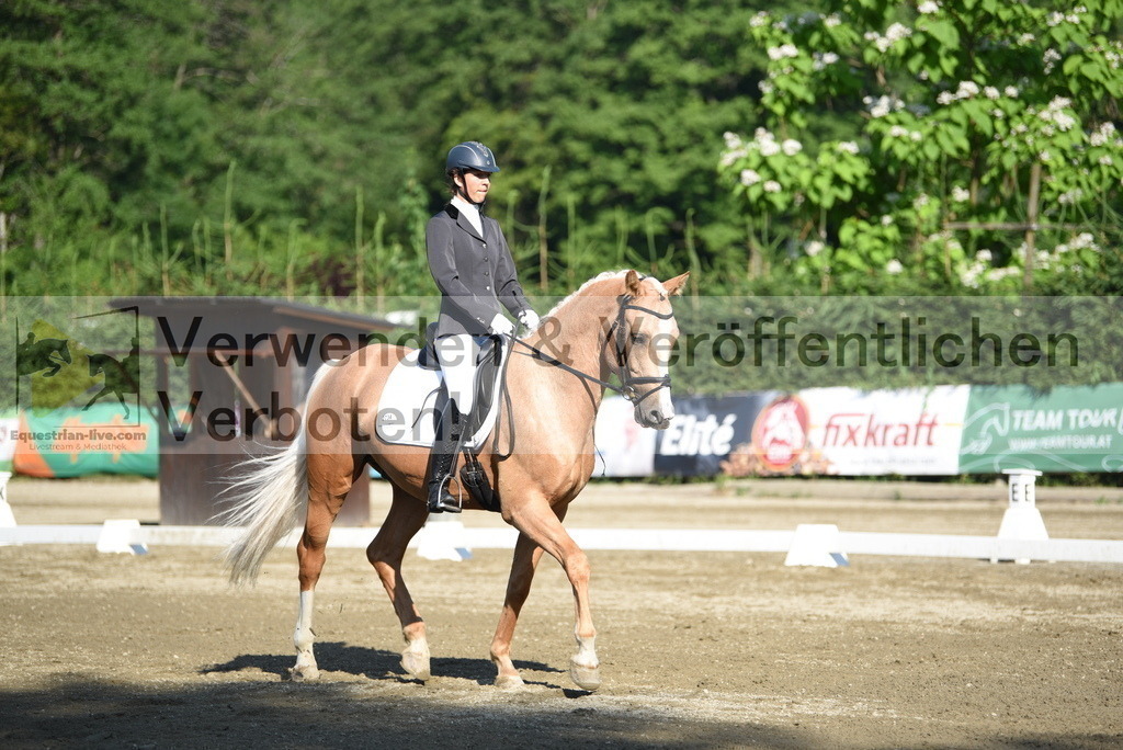 DSC_6963 | equestrian-live-com