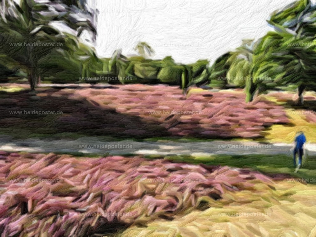 brushed_14schnev006 | Poster aus der Lüneburger Heide - Realisiert mit Pictrs.com