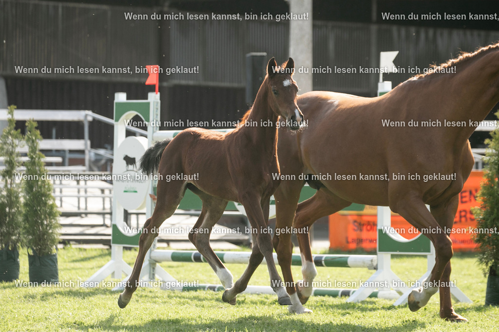 598A7054 | photographylinaismer - Realisiert mit Pictrs.com