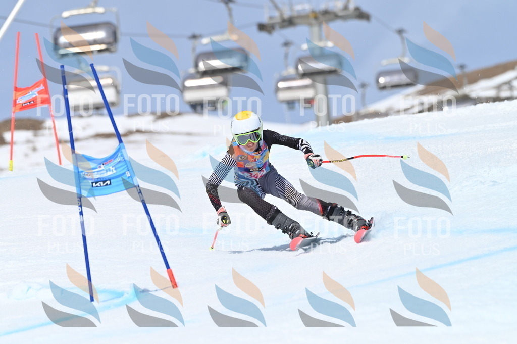 BGV_3481 | holidayphoto