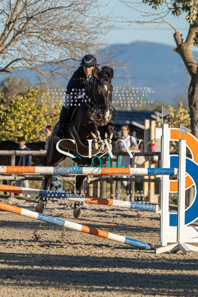 IMG_2344 | s-jay-photography - Realisiert mit Pictrs.com