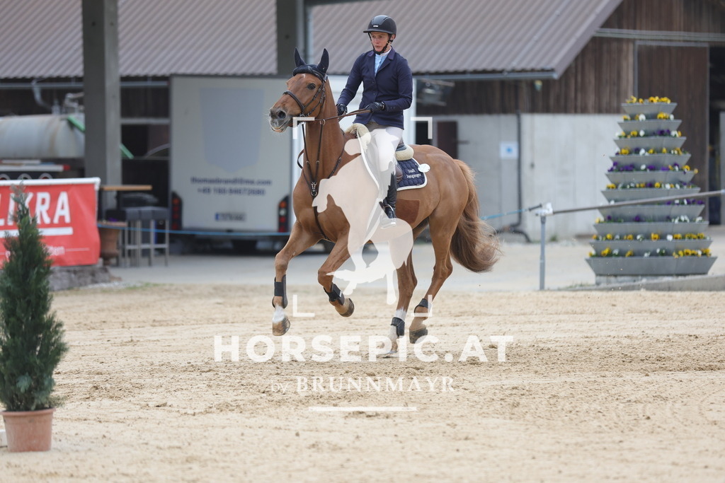 0P6A3843 | Willkommen bei Brunnmayr - Design & Fotografie – Ihrem Spezialisten für Reitturniere und Pferdeveranstaltungen in Oberösterreich, Salzburg und Bayern! Seit über 17 Jahren sind wir leidenschaftlich dabei.